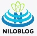 مهندس صالح نظام الاسلامی